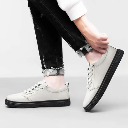 Cavallo Leather Sneakers