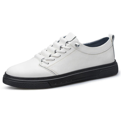 Cavallo Leather Sneakers